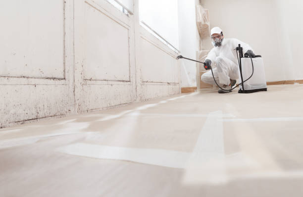 24/7 Emergency Mold Remediation experts in Somerset, KY